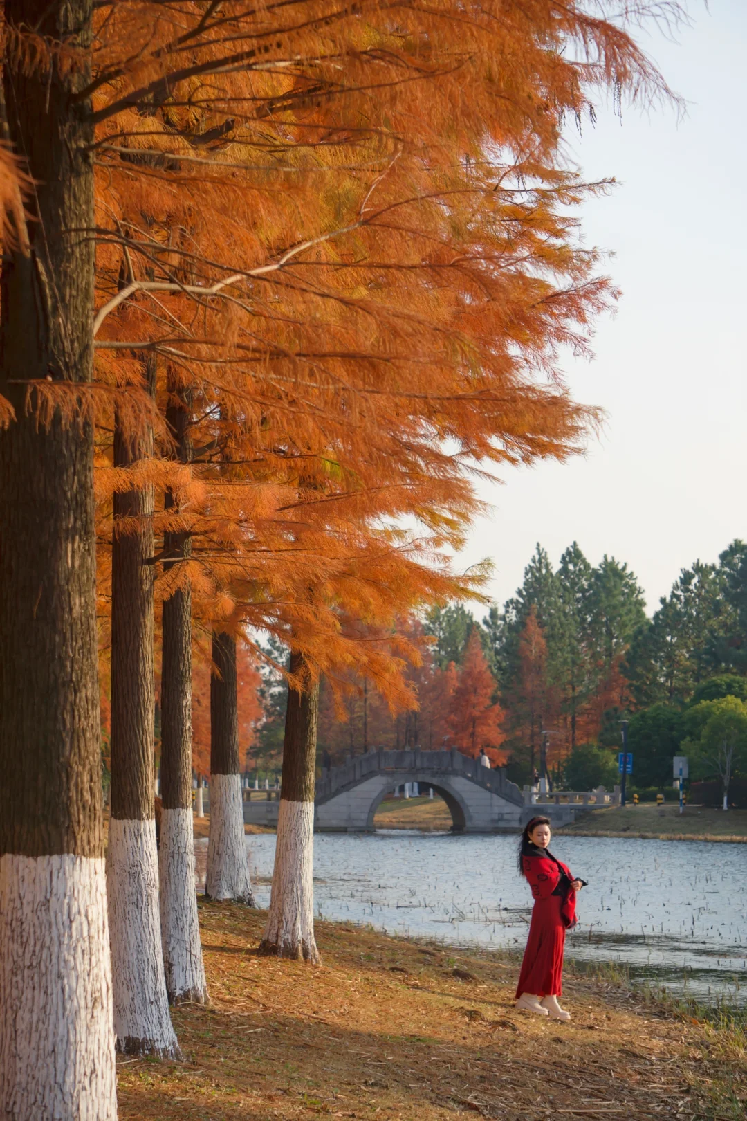 冬季来常熟，本地人推荐这8个小众景点！
