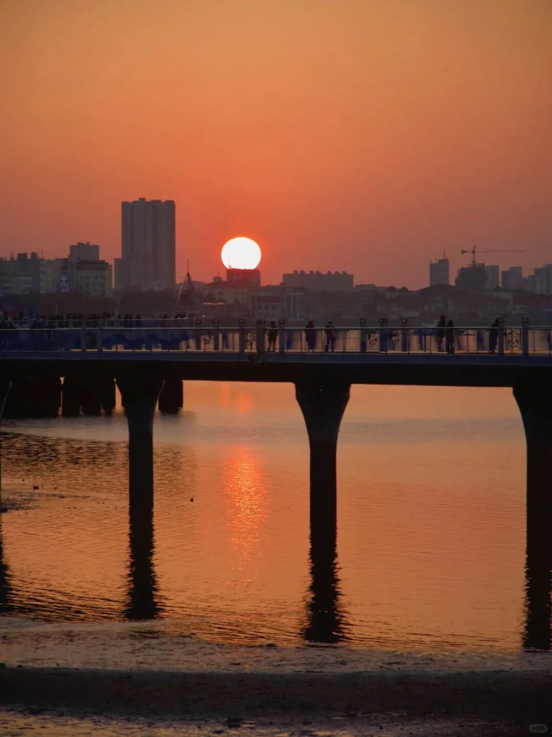 写给12-1月去涠洲岛的姐妹👭超全避雷攻略