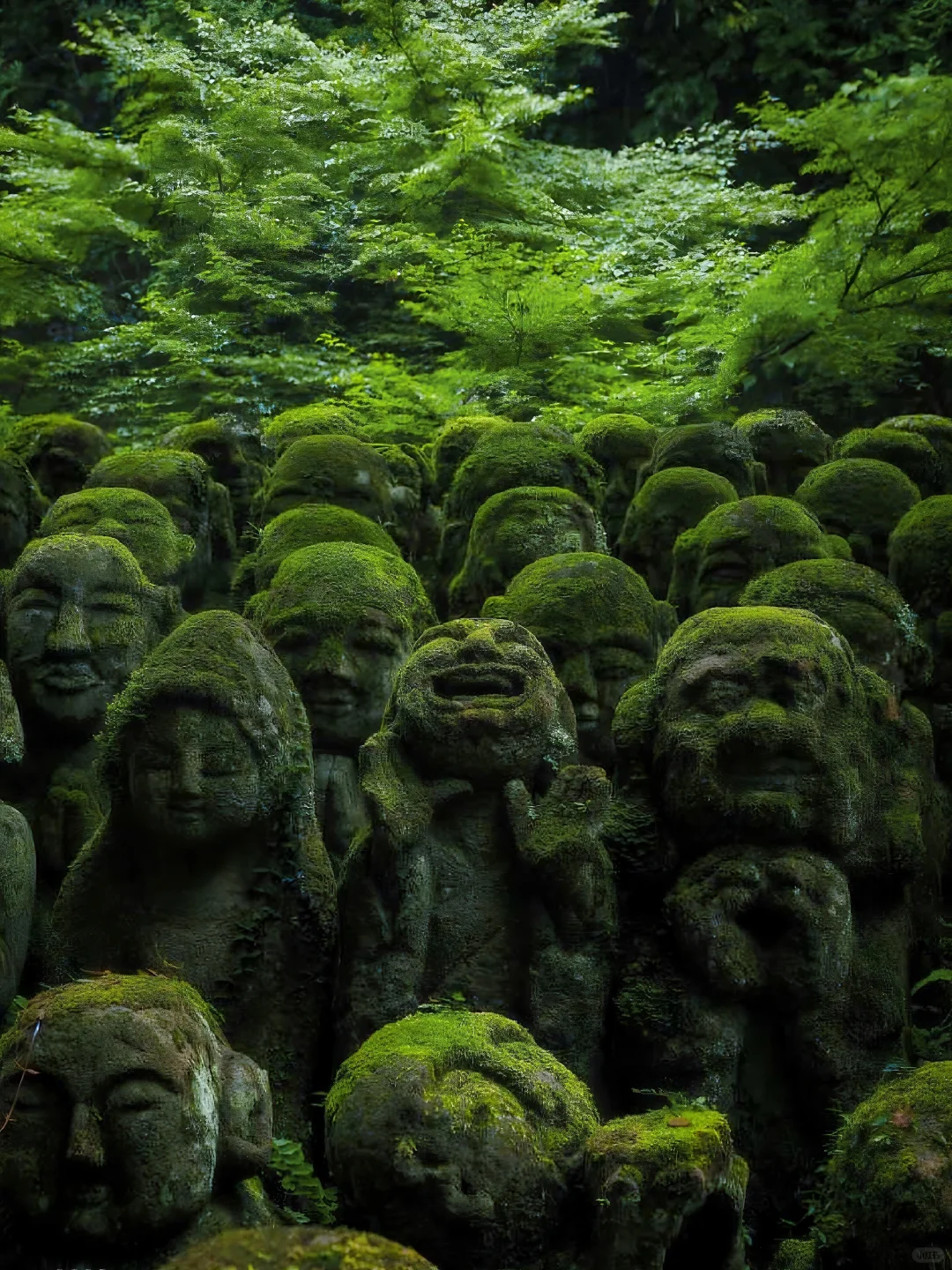 日本｜第三次来京都｜我的7️⃣个小众景点分享