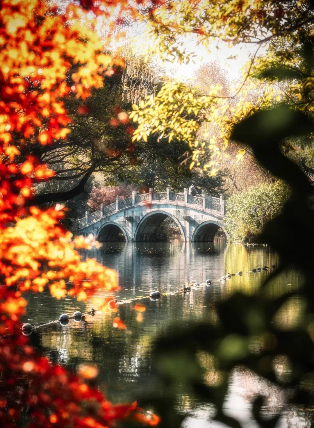 醉美西湖，一场诗意的邂逅之旅