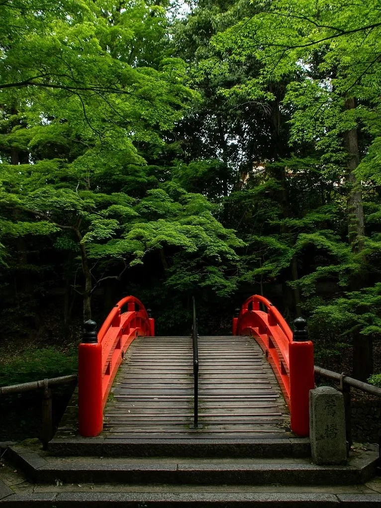 日本｜第三次来京都｜我的7️⃣个小众景点分享
