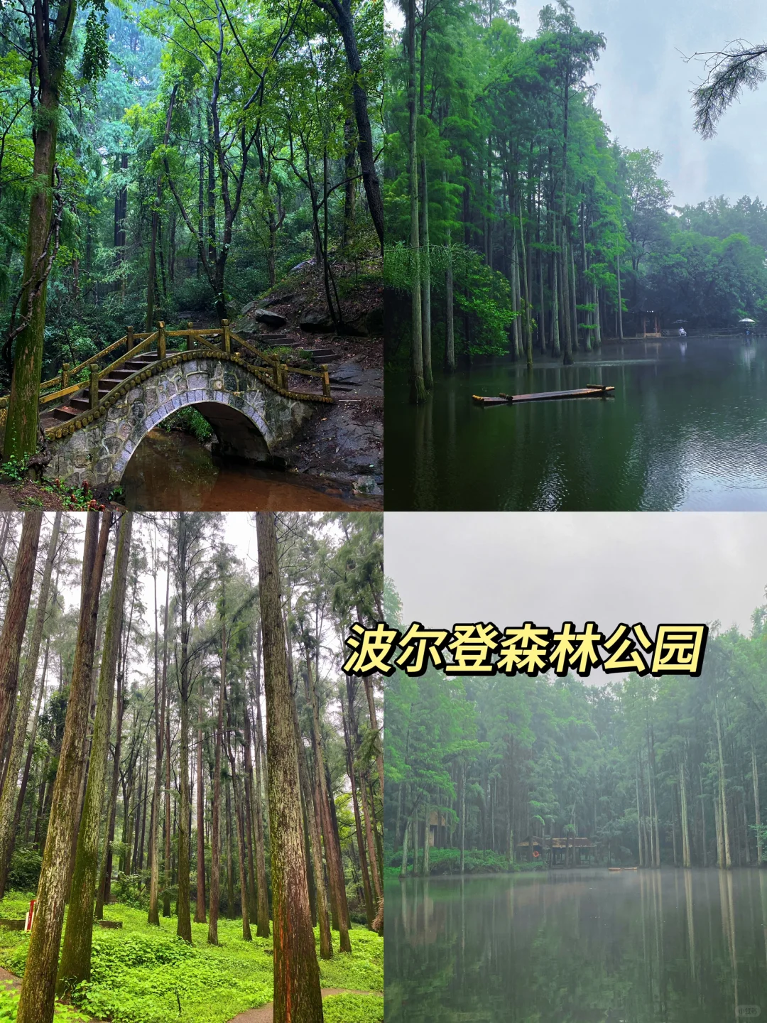 淡季来信阳真的太好玩啦！！