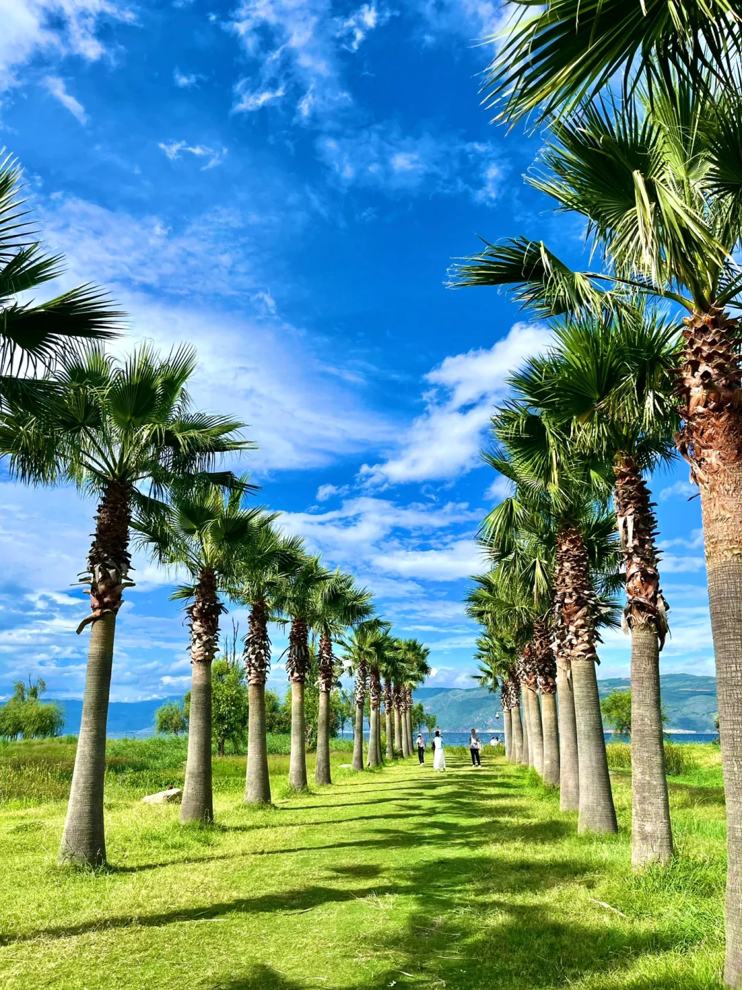 往返大理9次，总结了10个小众景点打卡地‼️