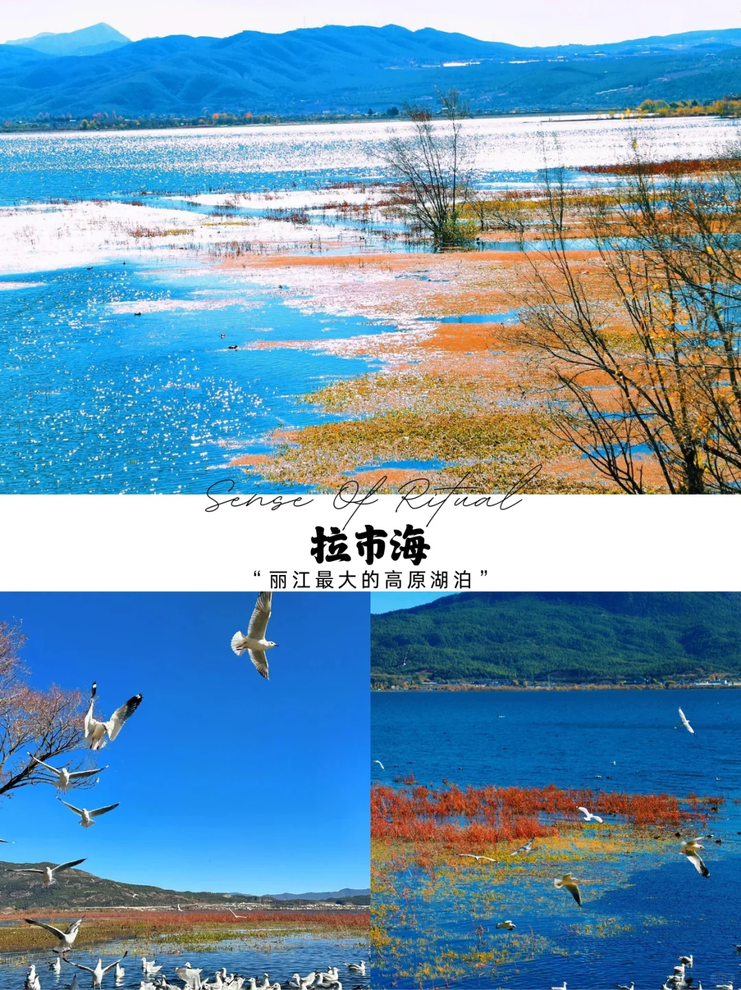 🌿丽江最值得去的10个景点，你去过几个？