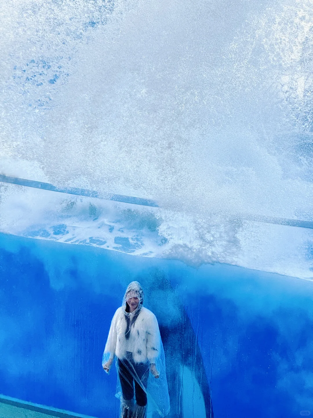 上海海昌海洋公园一日游旅游攻略(超详细!)