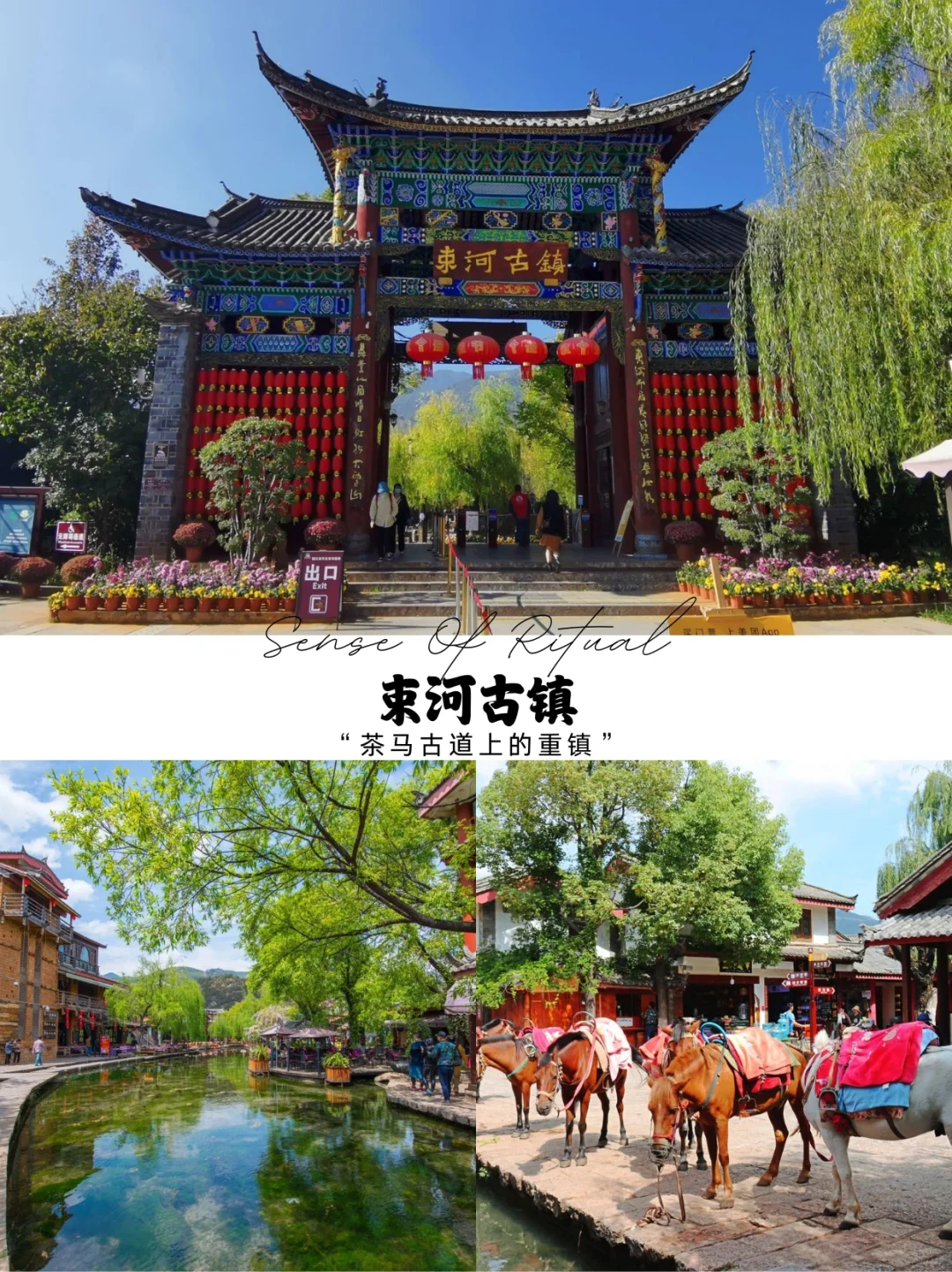 🌿丽江最值得去的10个景点，你去过几个？