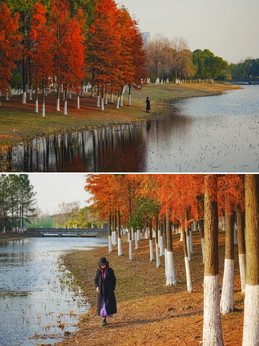 冬季来常熟，本地人推荐这8个小众景点！