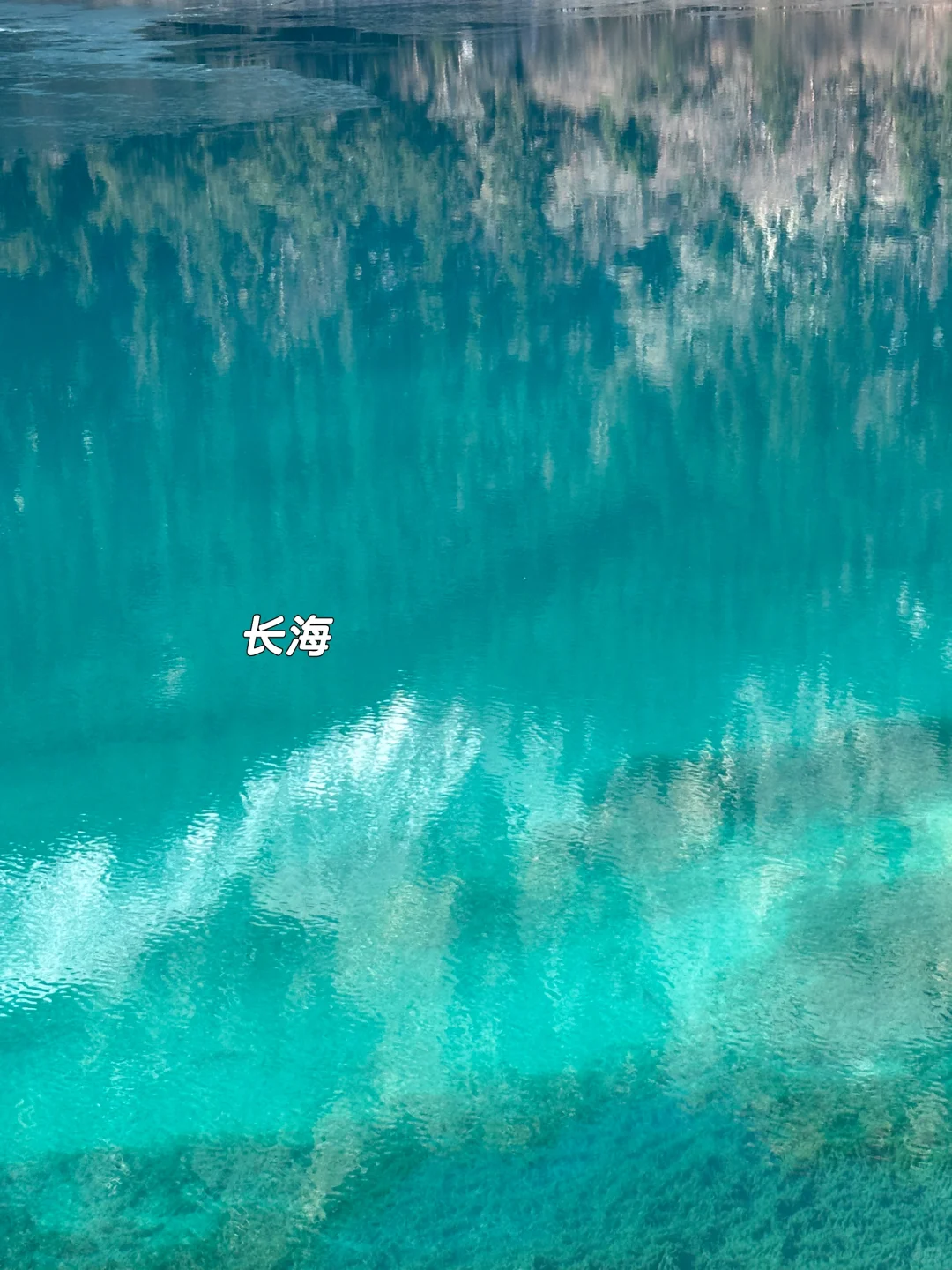 1月现状📍谁说这是淡季😱春节要来的宝听劝！