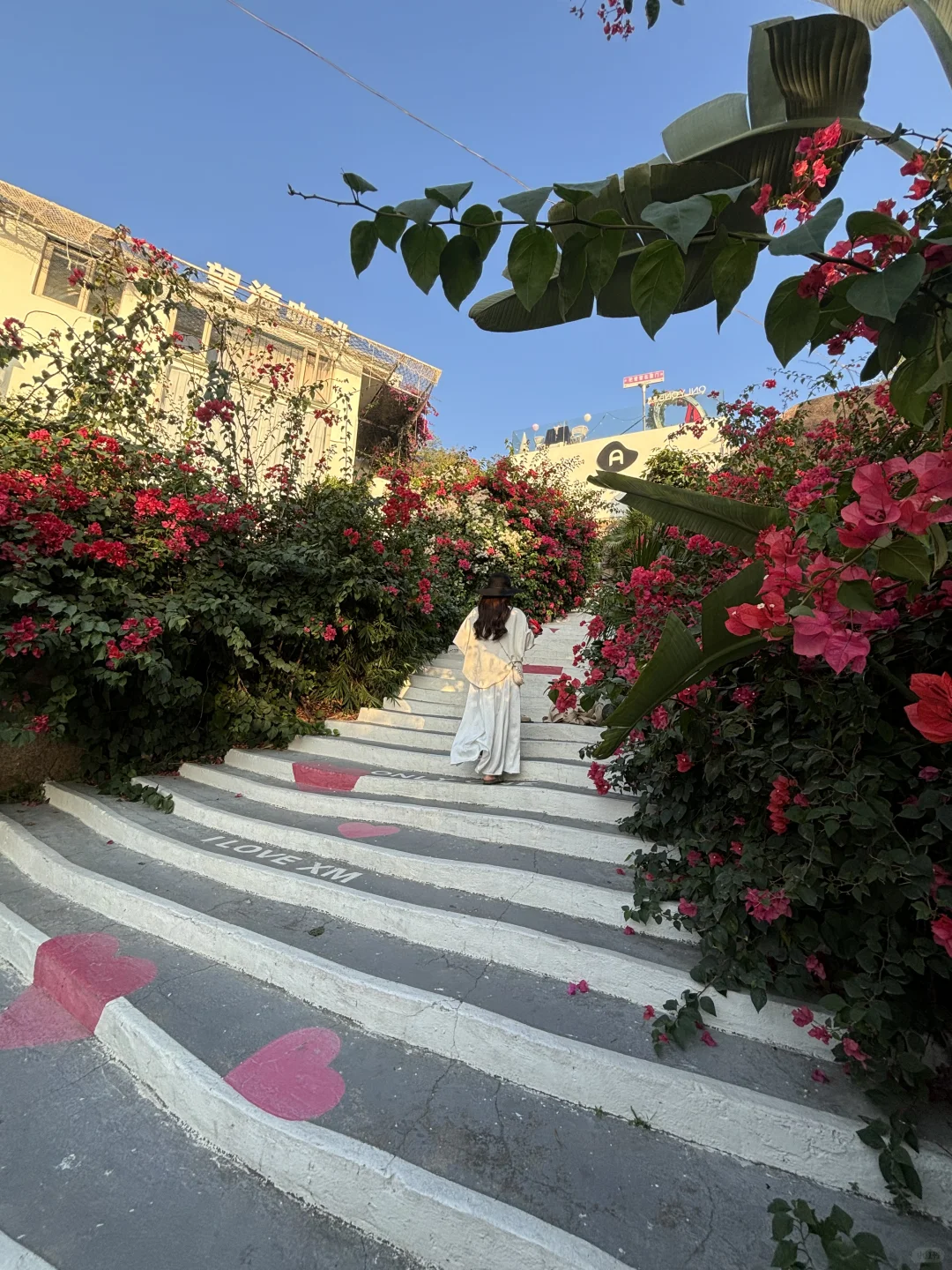 来厦门第一站！！！直奔这里！！最适合看夕阳的