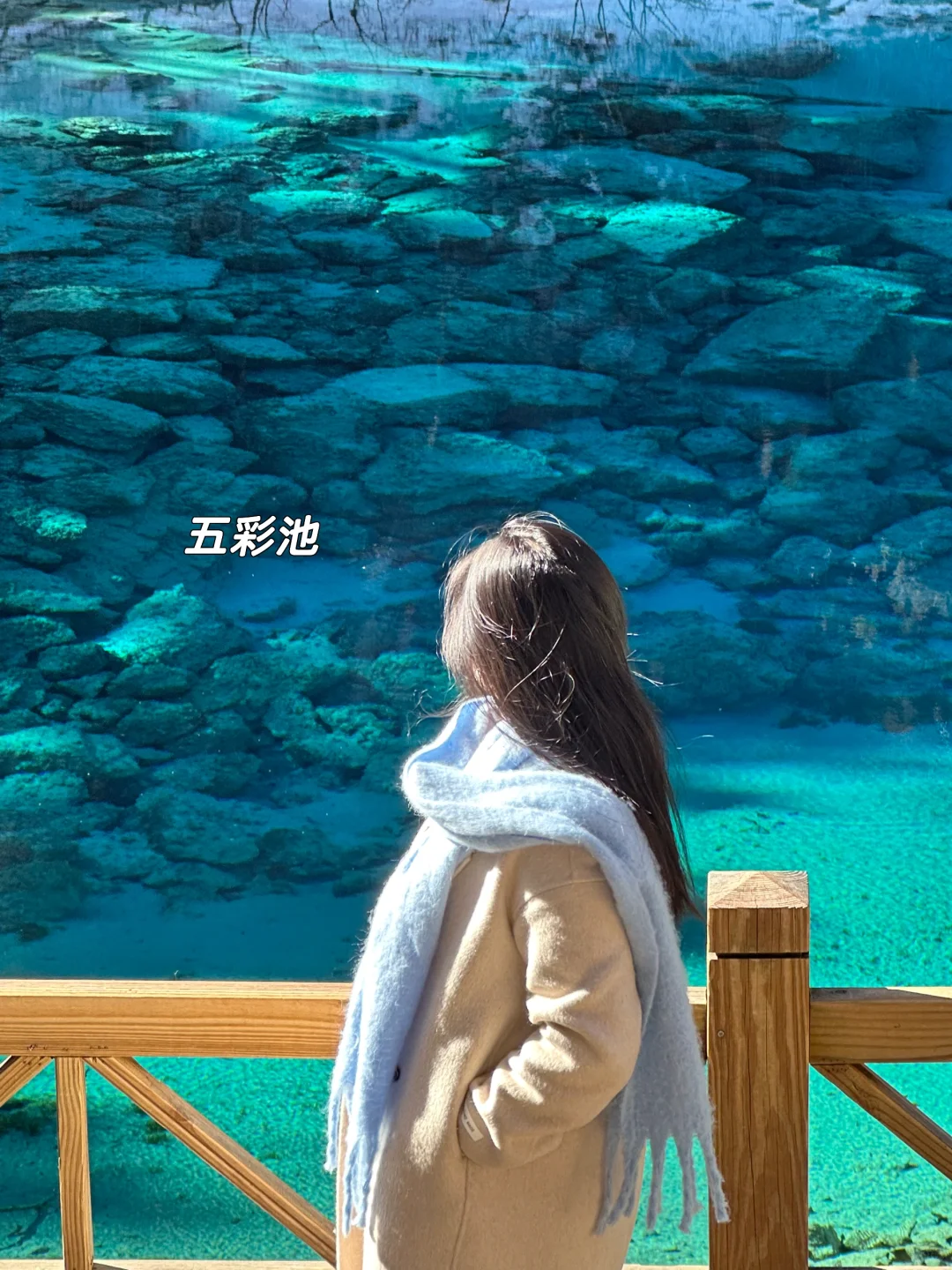 1月现状📍谁说这是淡季😱春节要来的宝听劝！