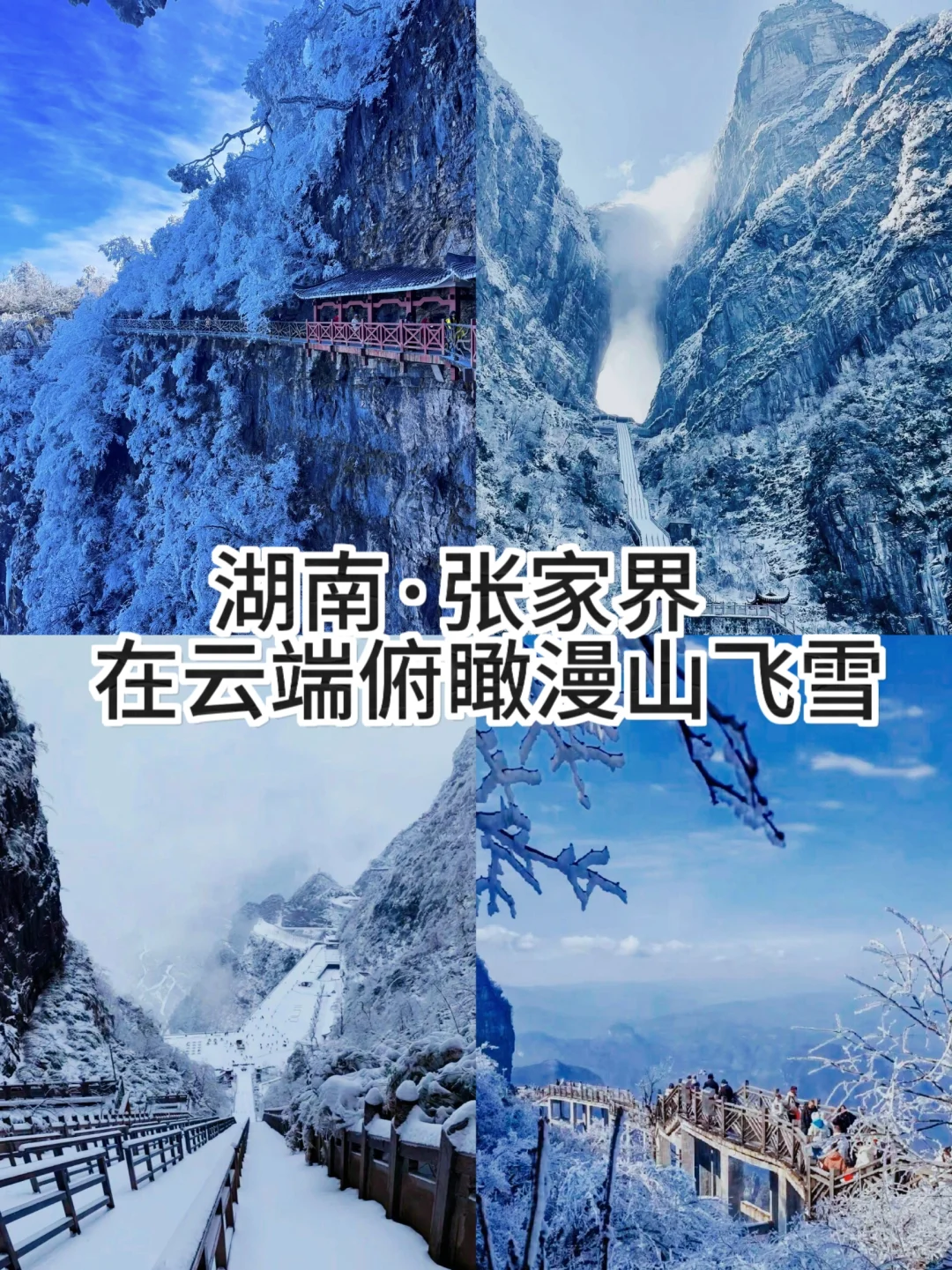 ⛄适合冬天❄去的十大城市推荐👇☃️