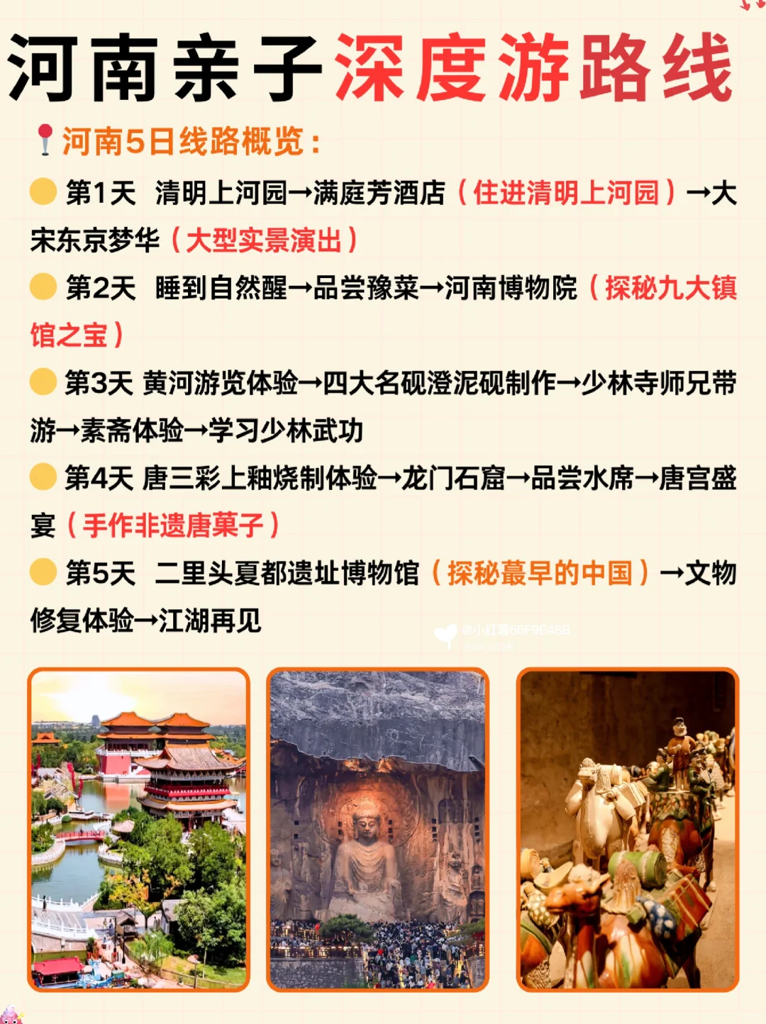 寒假春节要带娃来洛阳的姐妹🔥提前参考❗