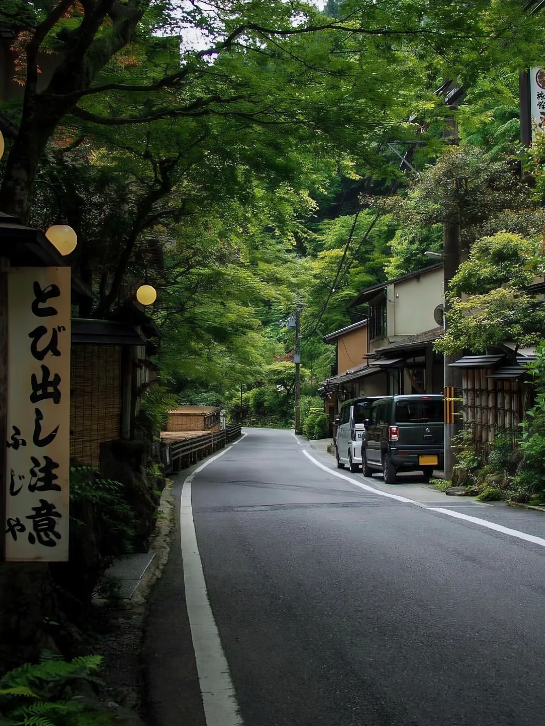 日本｜第三次来京都｜我的7️⃣个小众景点分享