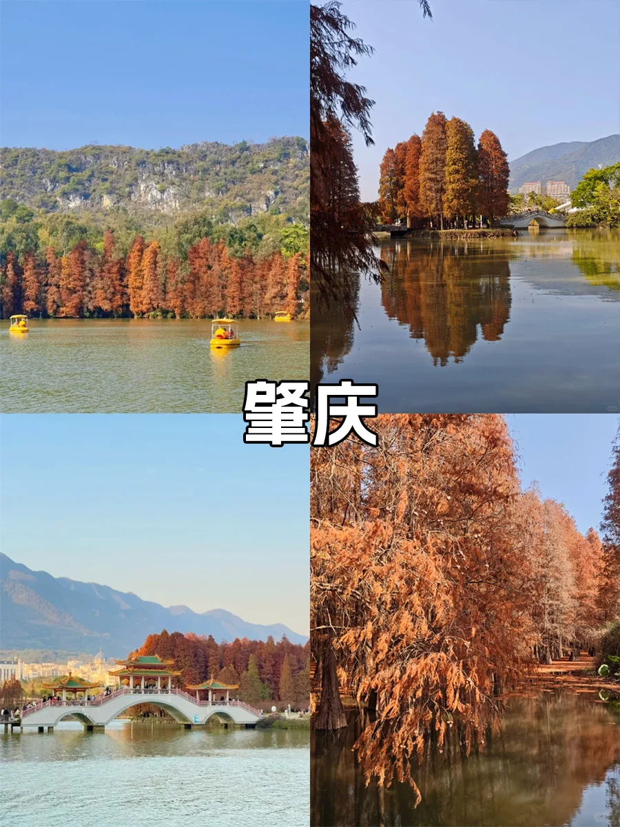 2025广东旅游❗8大城市景点推荐💯