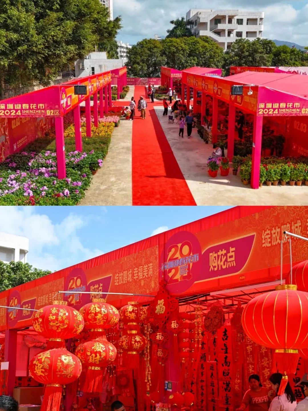 春节反向旅游攻略来了！到深圳大鹏真的很香