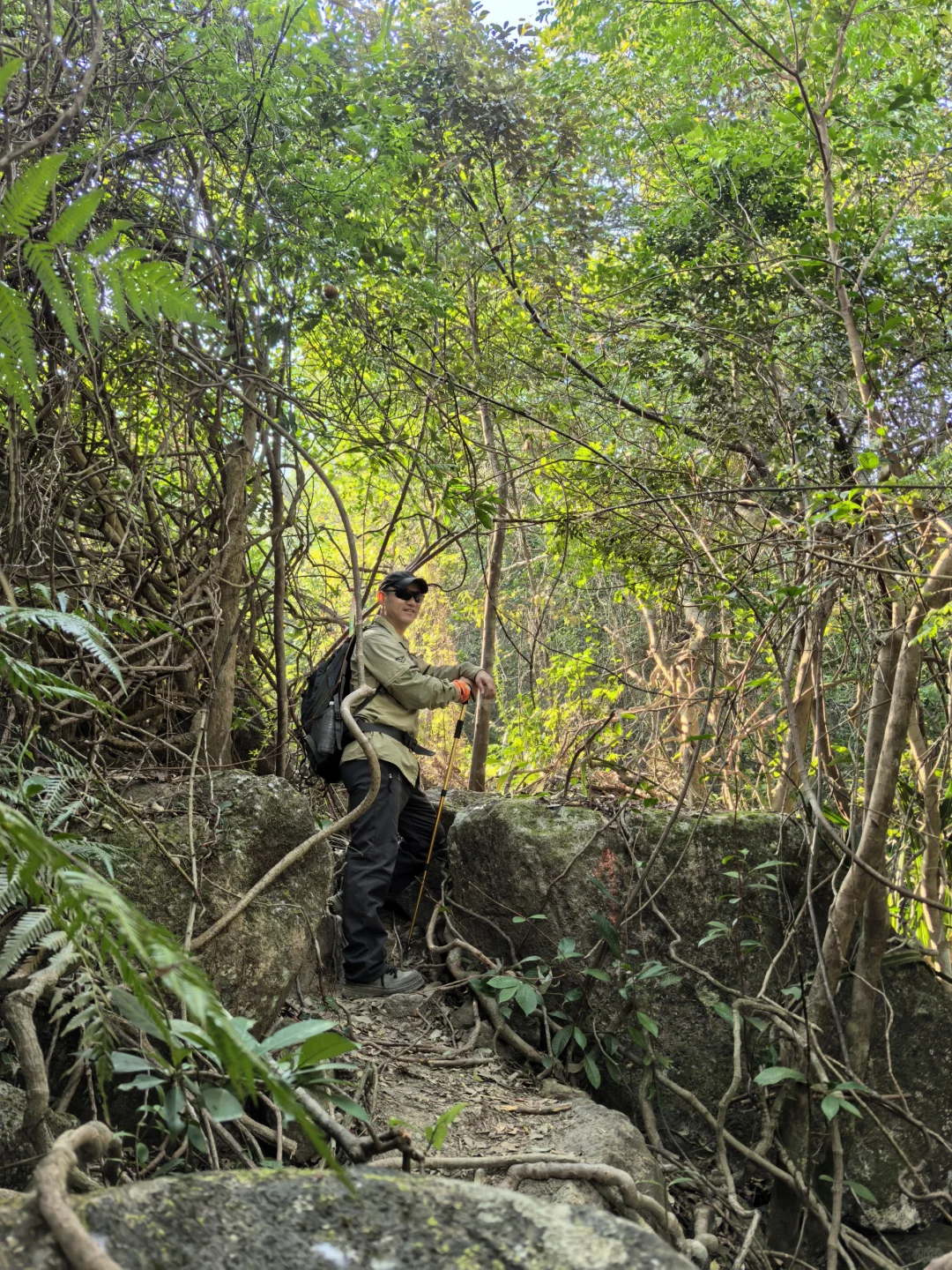这就是望郎归。