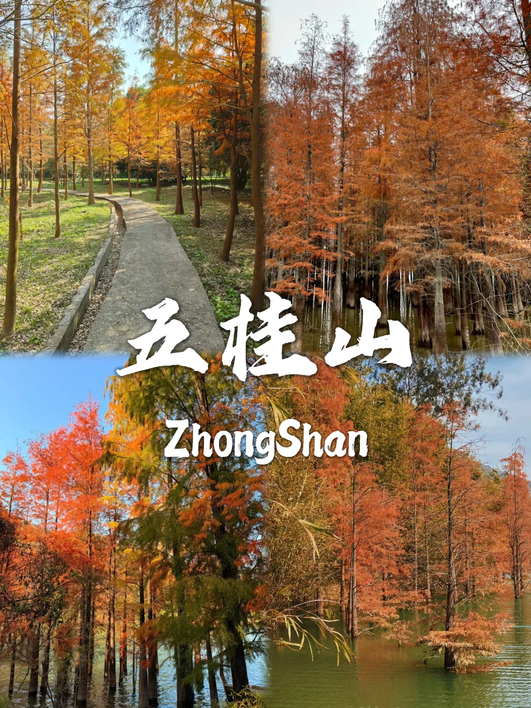 中山必打卡的九个景点，等你来探索❗❗