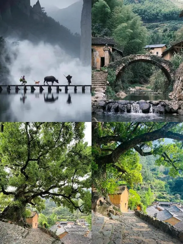 被（国家地理）评为江南最后的秘境真太美了