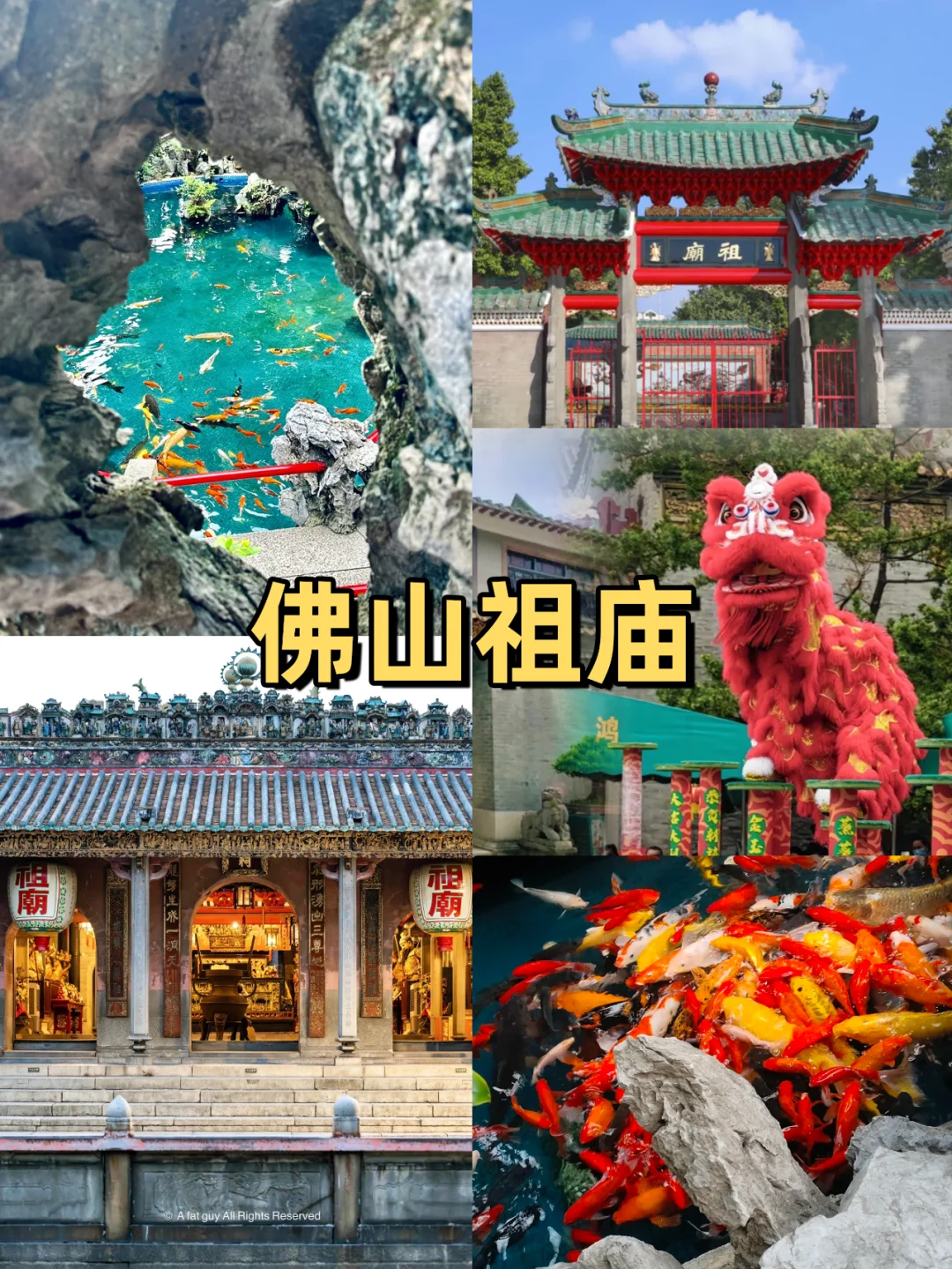 熬夜整理💥佛山旅游攻略｜本地人强推好玩