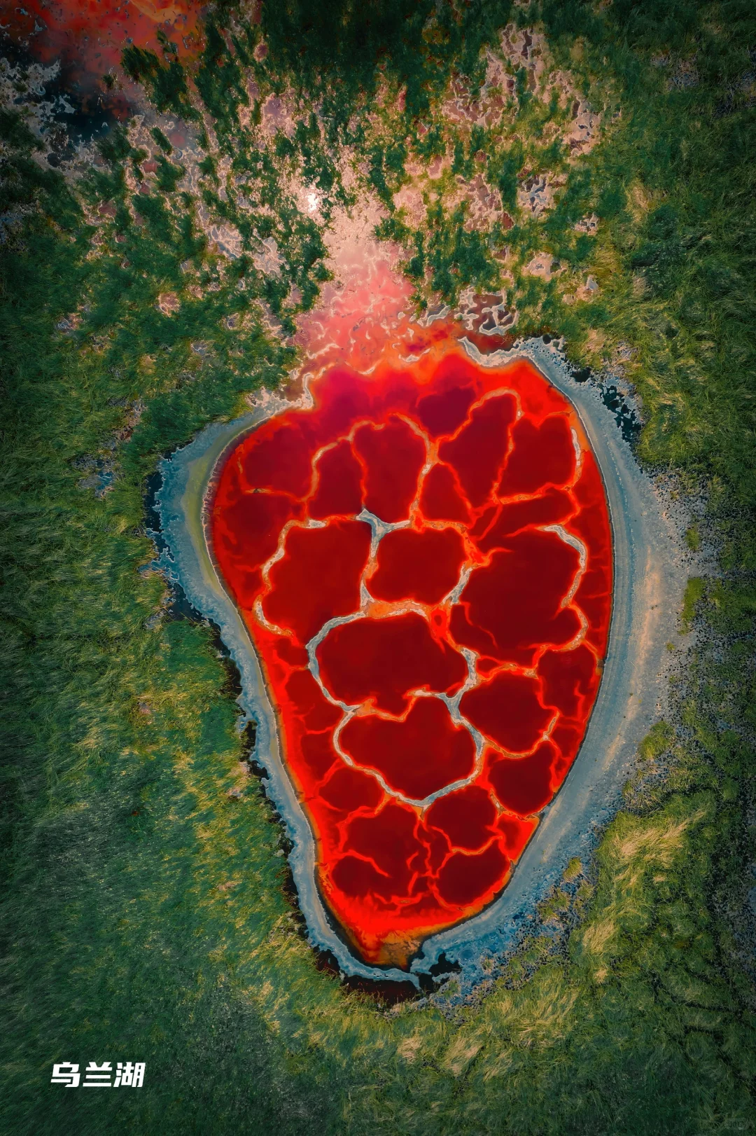 看了再见爱人4 想立刻飞去内蒙古 攻略有✅