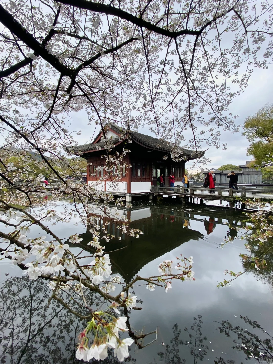 这是我买iPhone的意义🌸春夏秋冬Live~