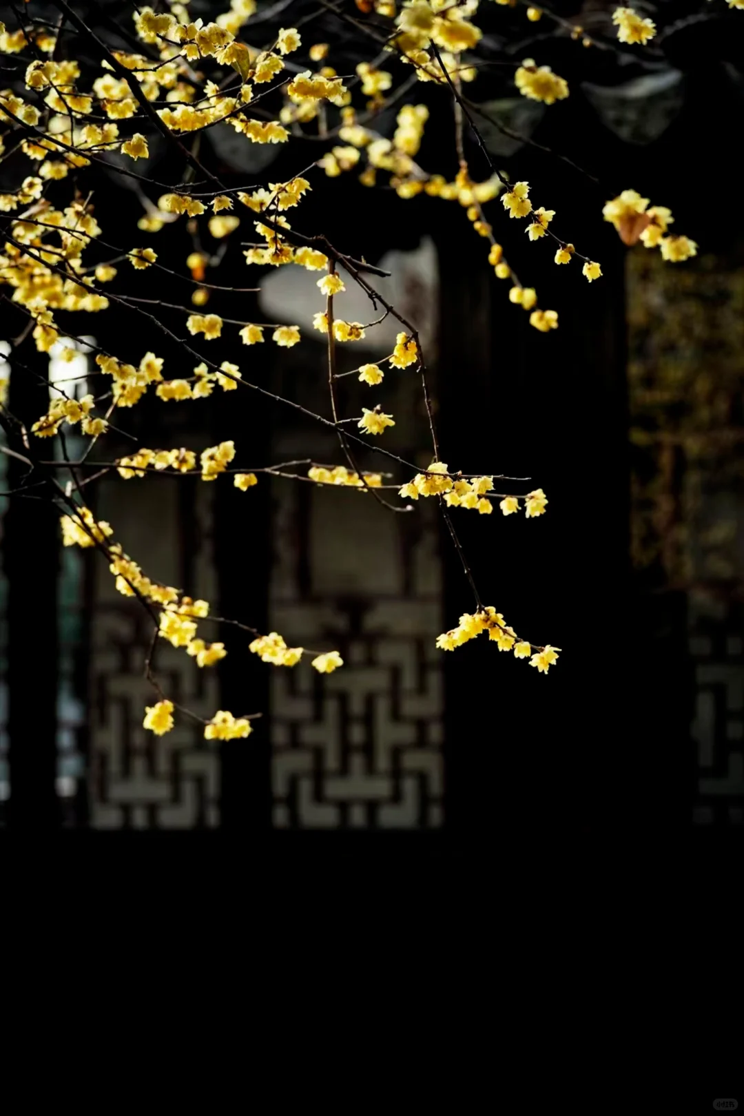 冬季来常熟，本地人推荐这8个小众景点！