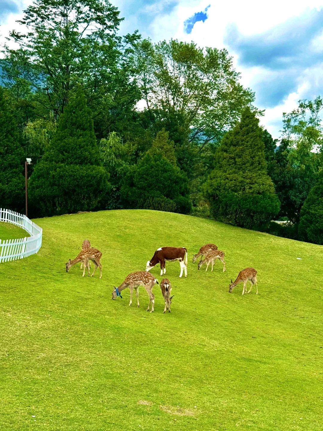 往返大理9次，总结了10个小众景点打卡地‼️