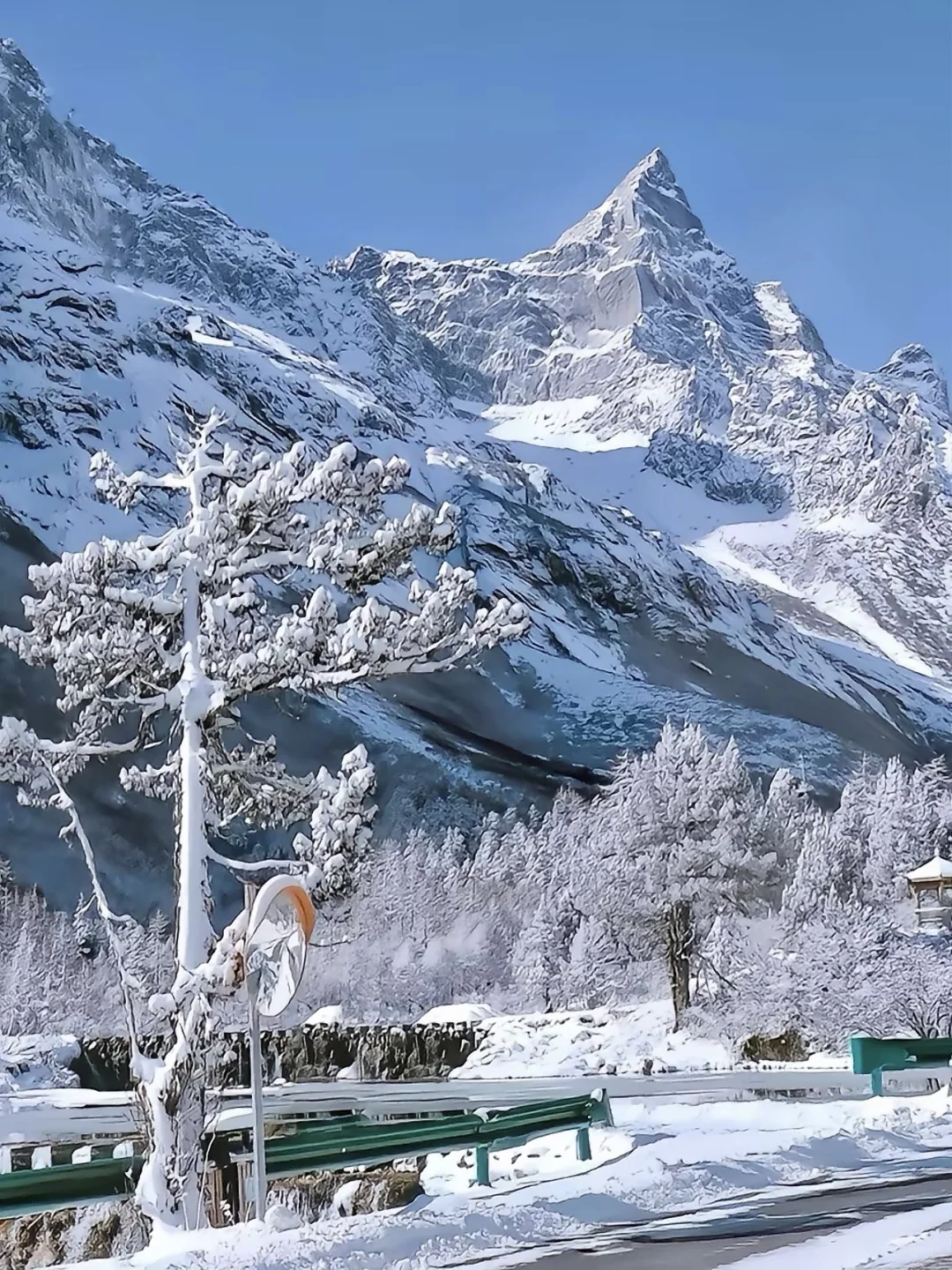 春节不回家，一个人去旅行也很快乐😁