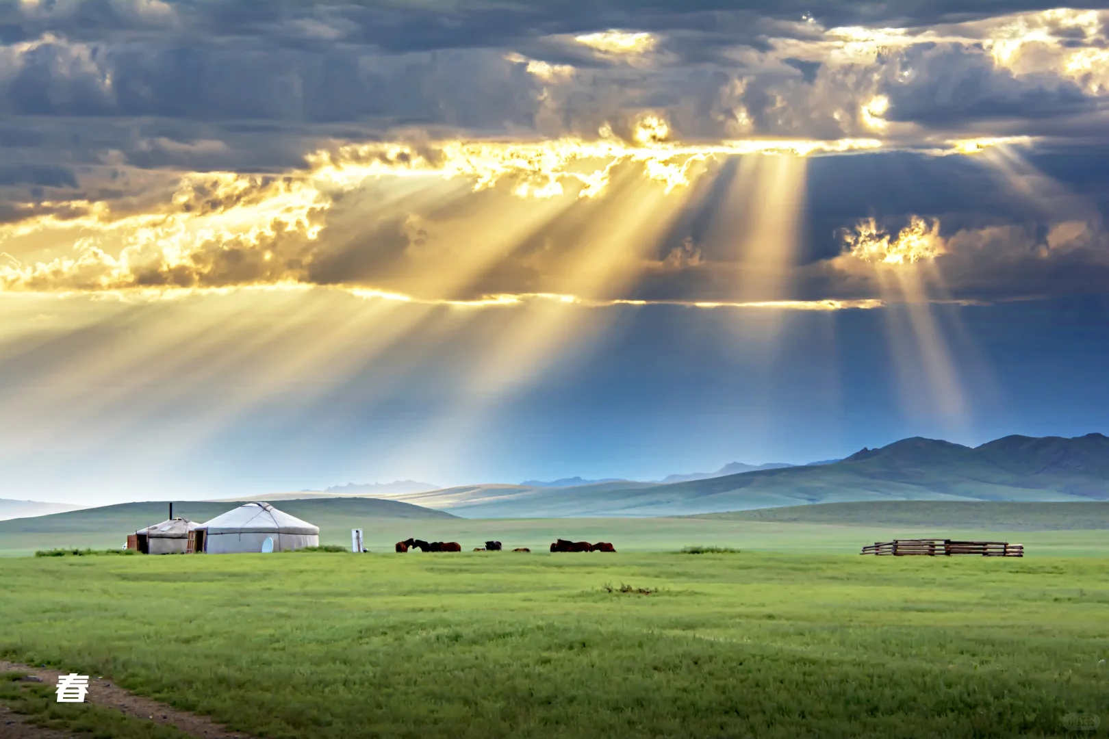 看了再见爱人4 想立刻飞去内蒙古 攻略有✅