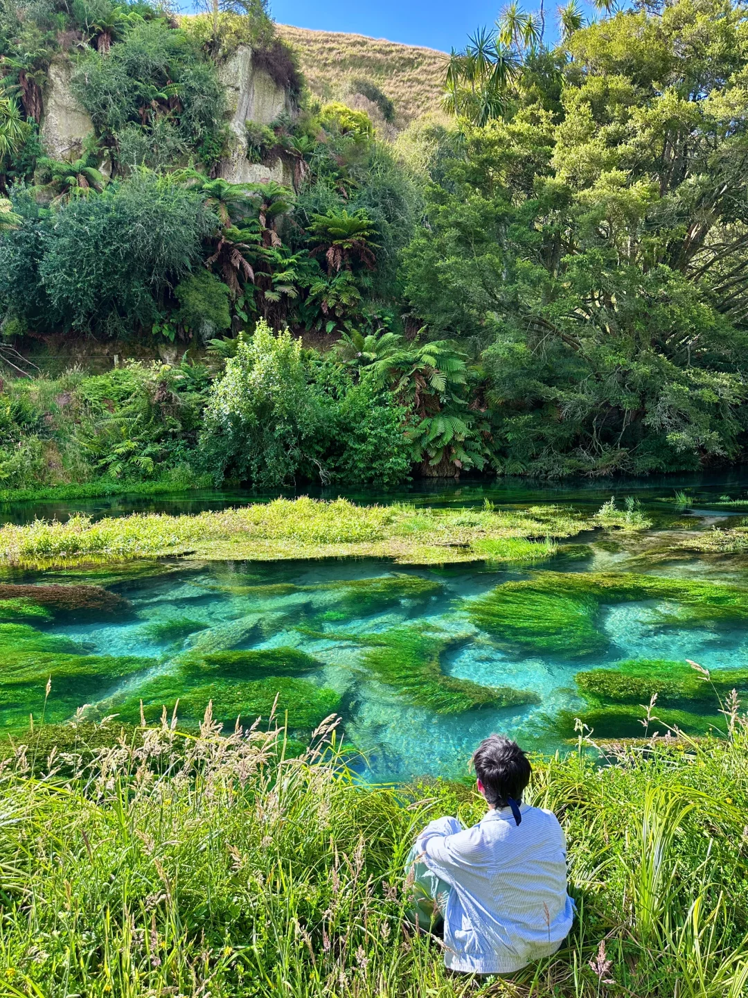 我仿佛闯入《阿凡达》的潘多拉星球🌏live～