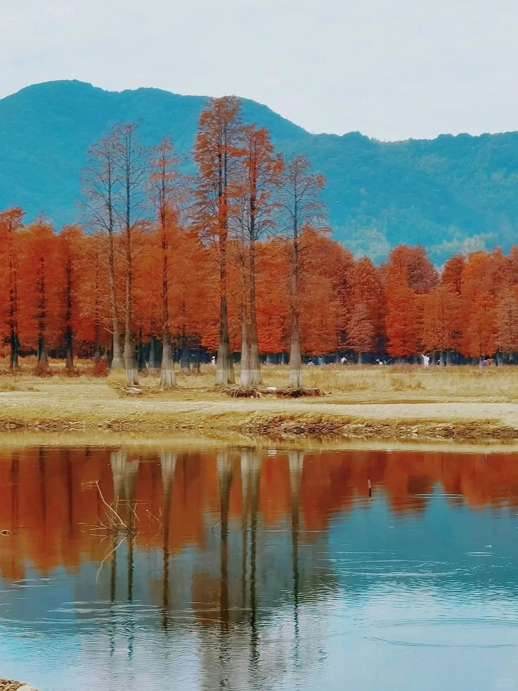 @韩国欧尼欧巴,看看我们大浙江吧‼️