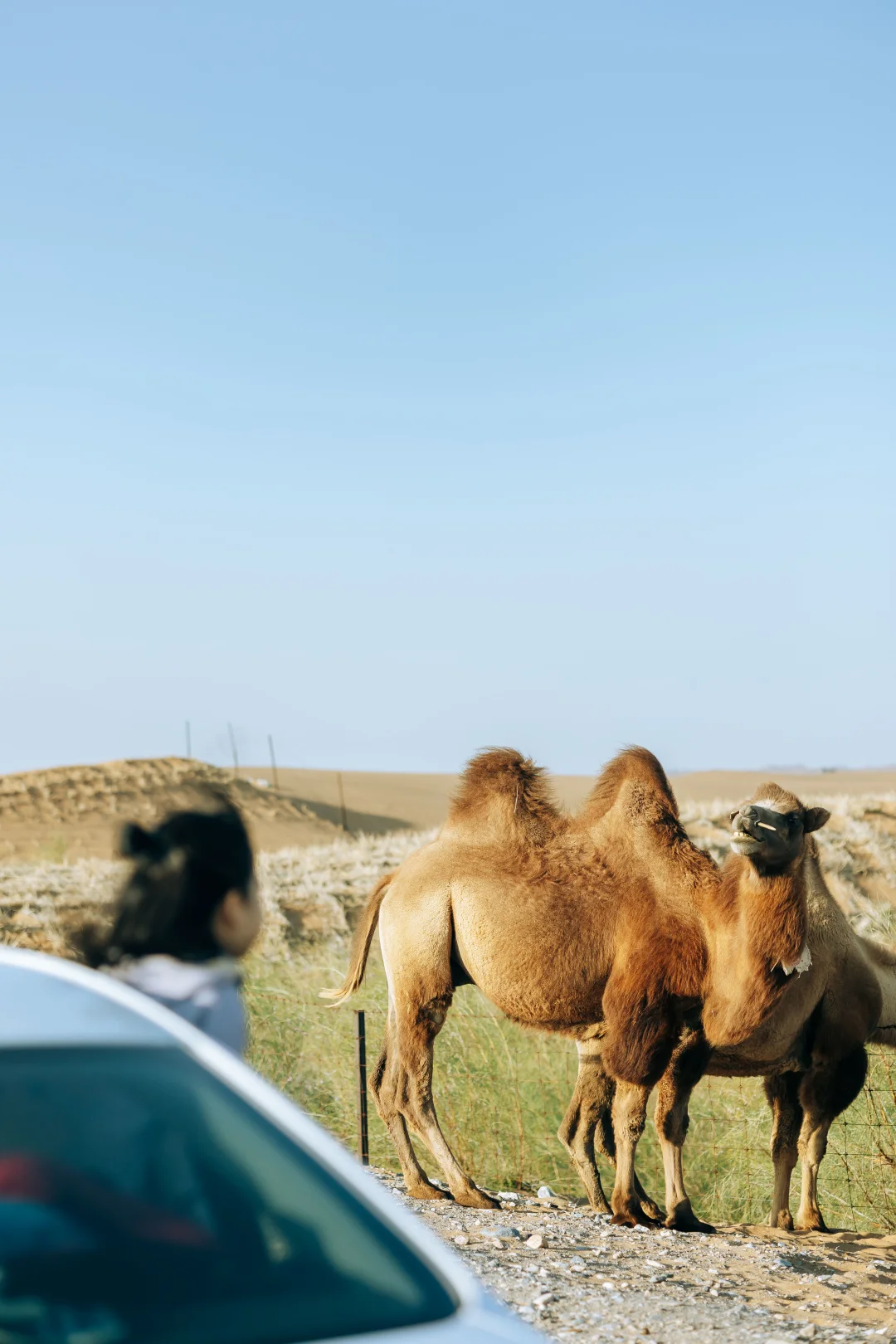真心推荐一个我认为适合国庆的冷门旅游路线