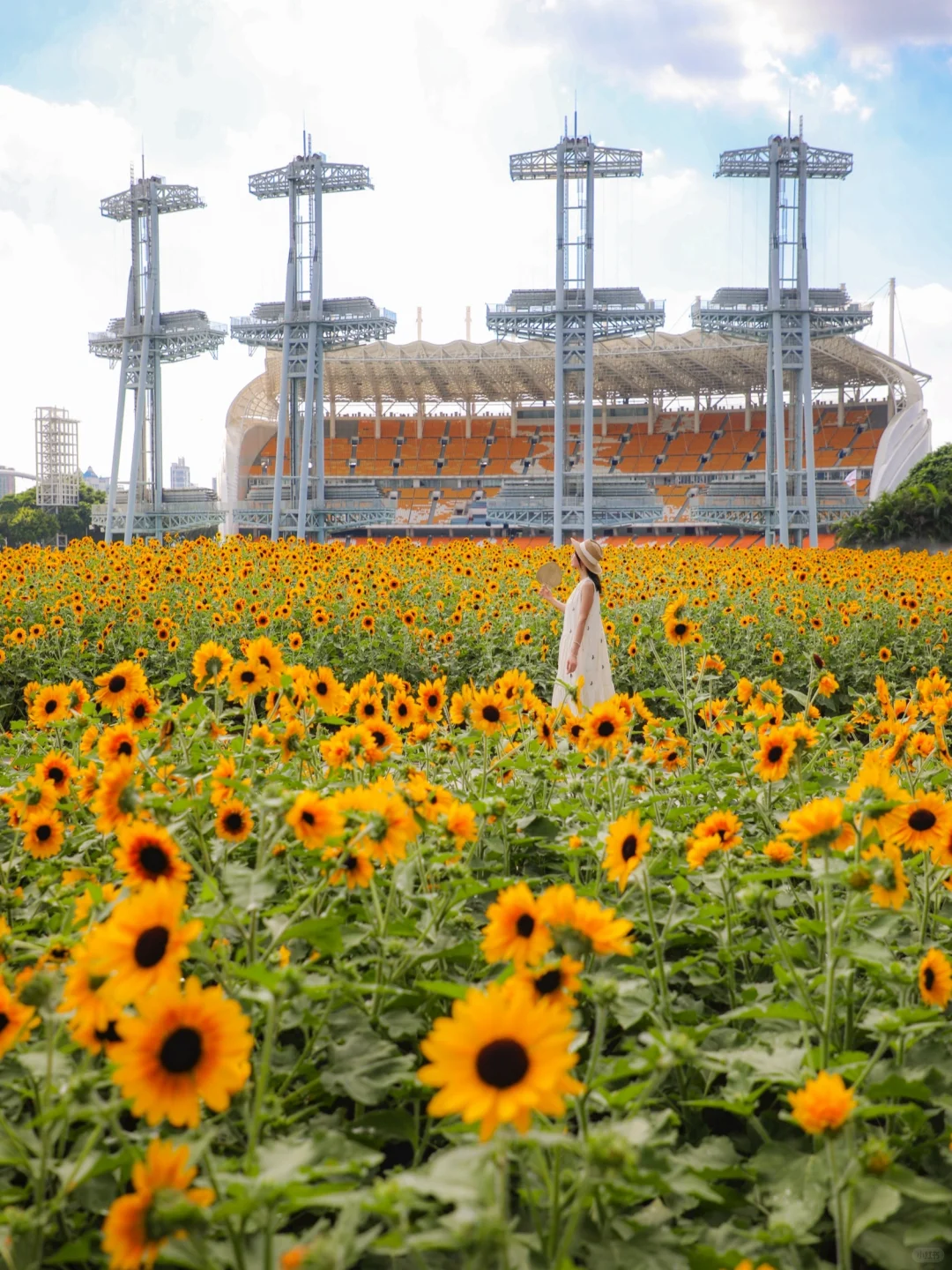 人生建议‼️离开广州前要拍的1️⃣5️⃣张照片