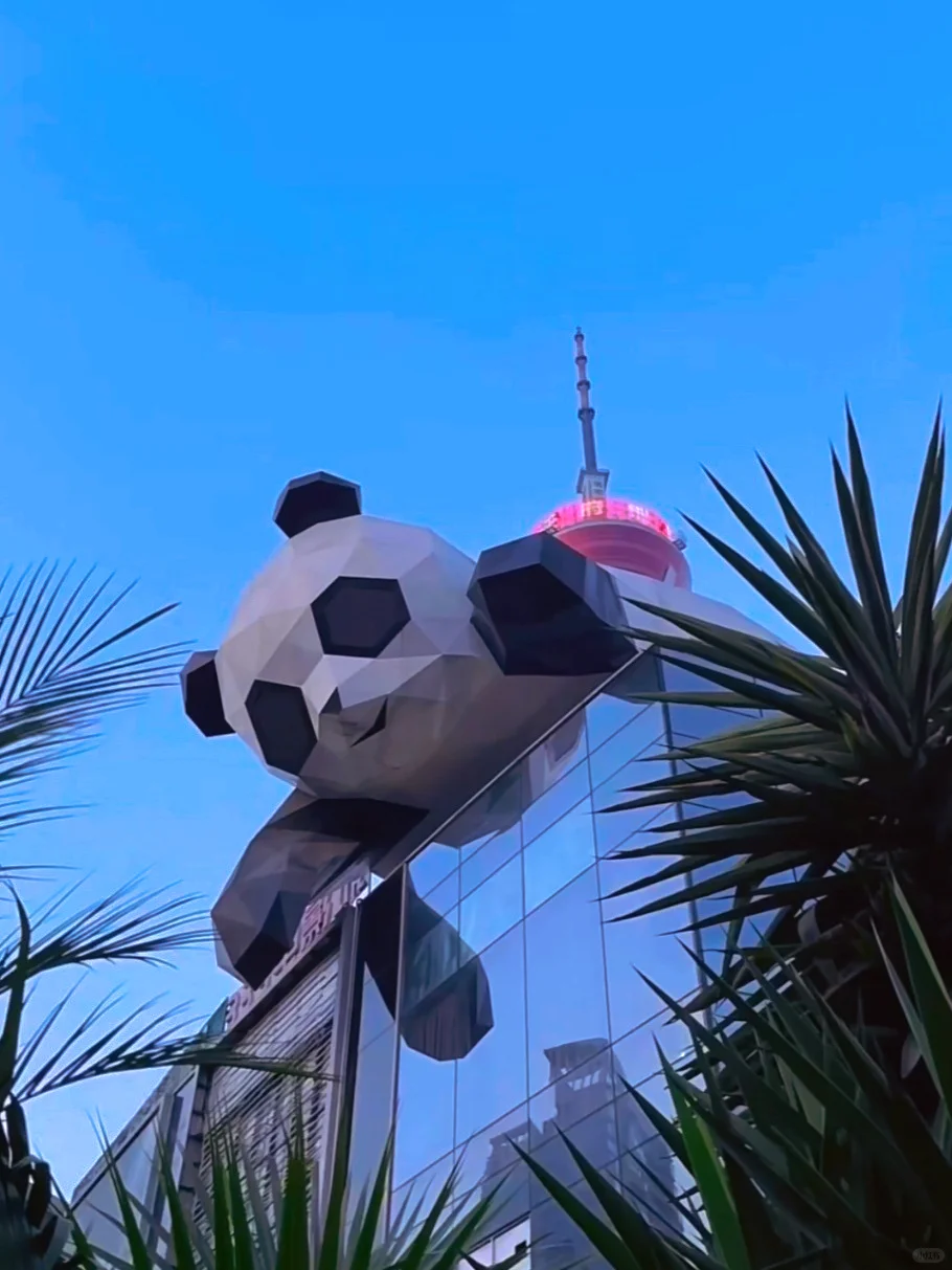 成都｜本地人带路旅游攻略🐎住！