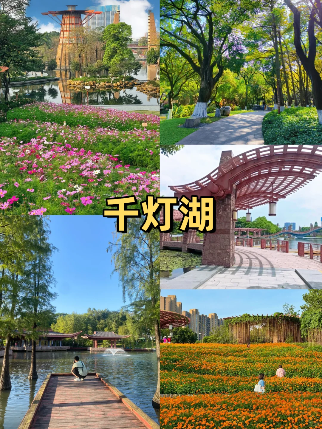 熬夜整理💥佛山旅游攻略｜本地人强推好玩