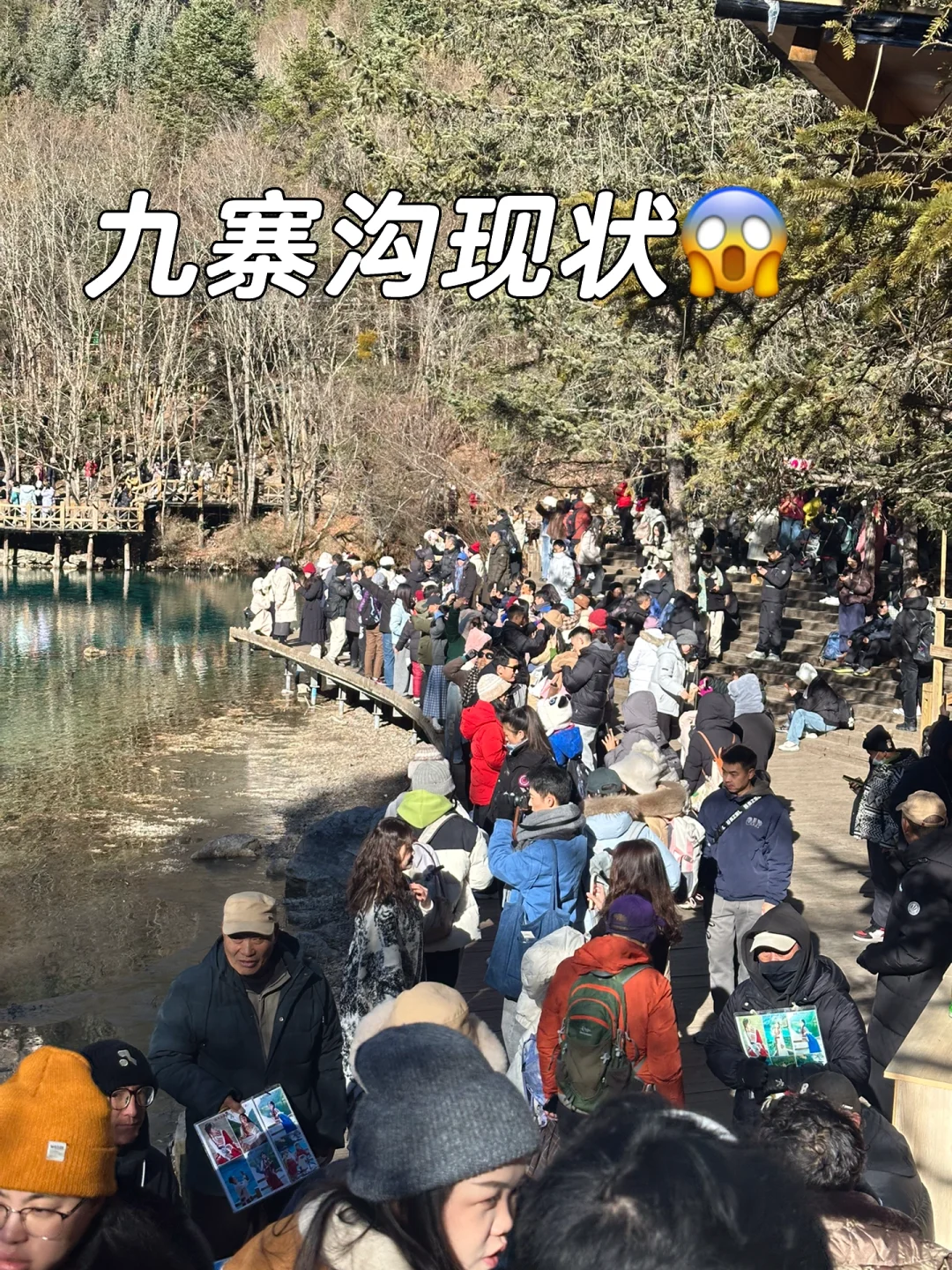 1月现状📍谁说这是淡季😱春节要来的宝听劝！