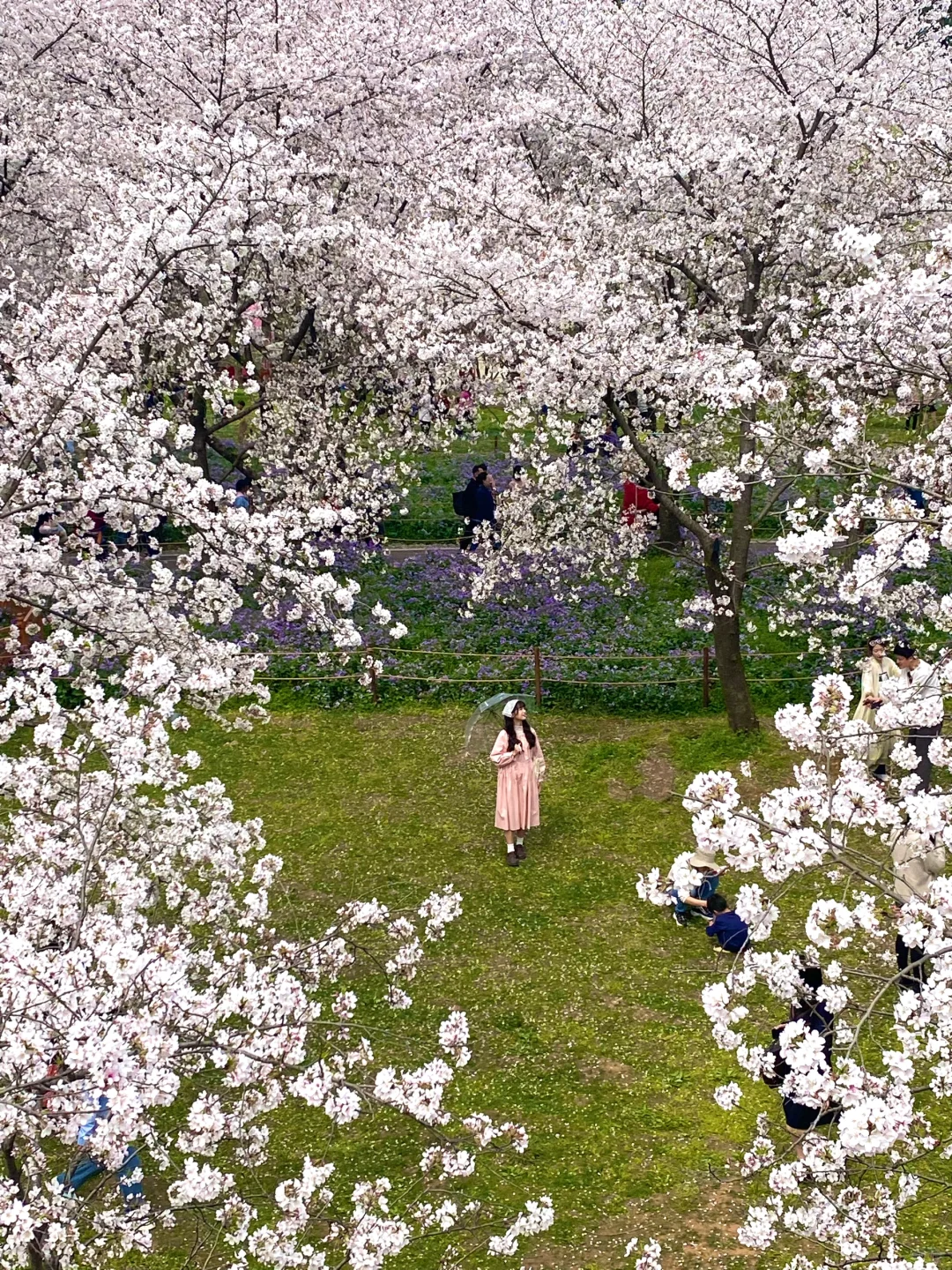 这是我买iPhone的意义🌸春夏秋冬Live~