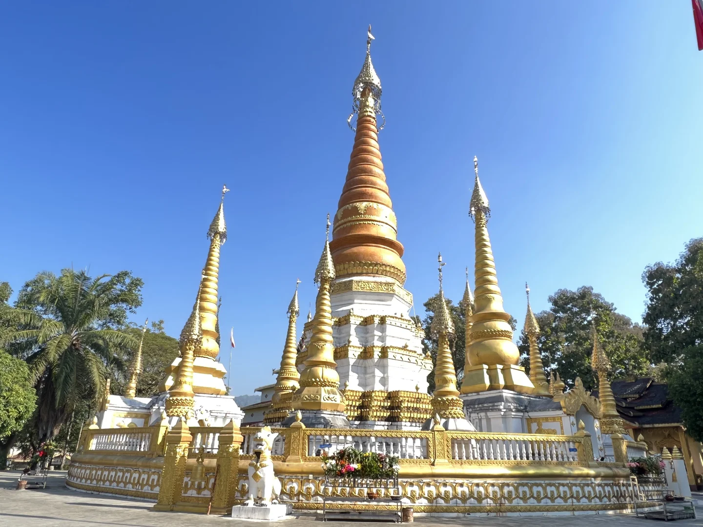 云南·瑞丽·傣王宫总佛寺·姐勒金塔·榕树王