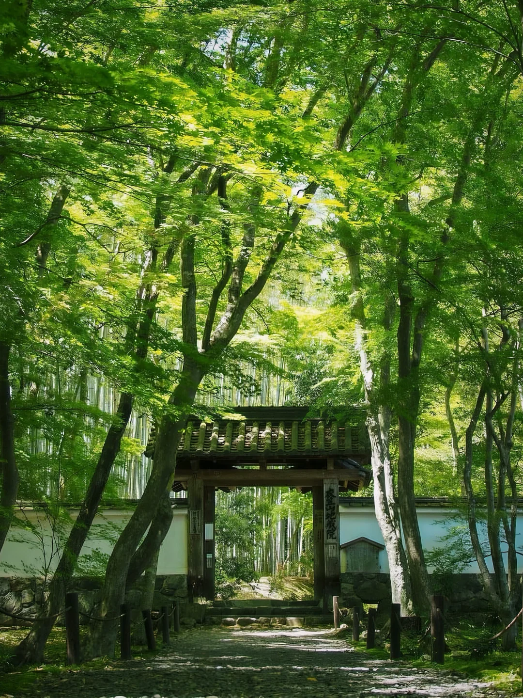 日本｜第三次来京都｜我的7️⃣个小众景点分享