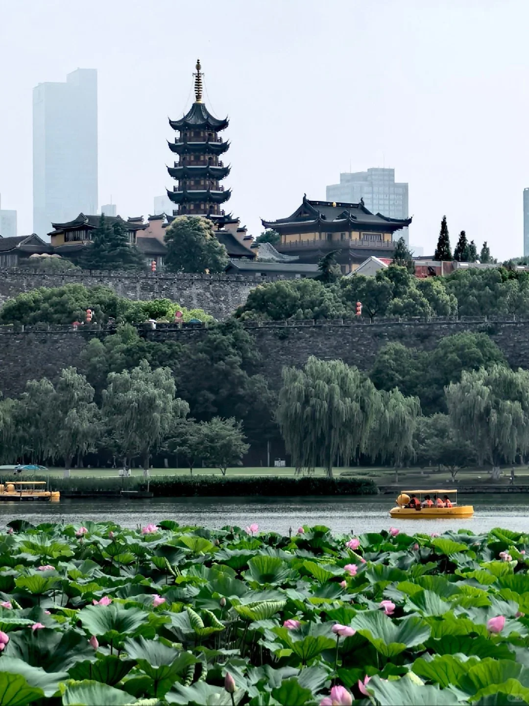 国庆南京四天三夜旅行攻略，超全保姆级攻略