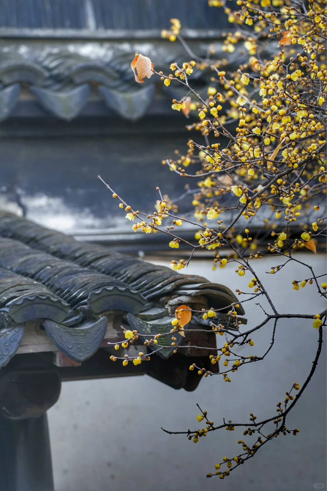 冬季来常熟，本地人推荐这8个小众景点！