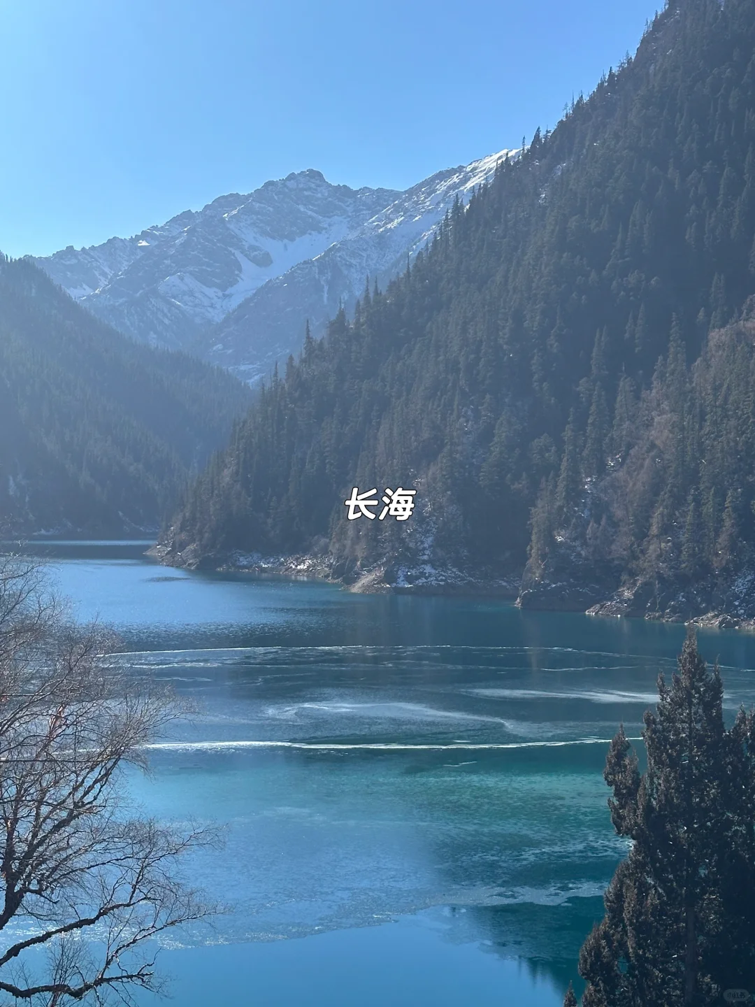 1月现状📍谁说这是淡季😱春节要来的宝听劝！