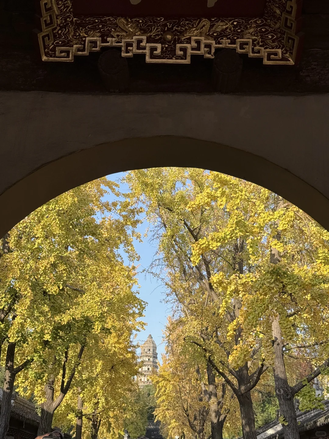 苏州4️⃣日游攻略已做好✅1月在线找搭子‼️