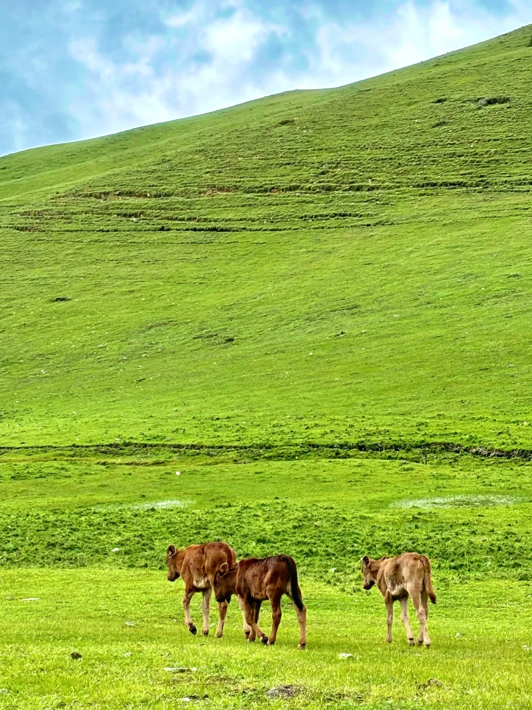 往返大理9次，总结了10个小众景点打卡地‼️