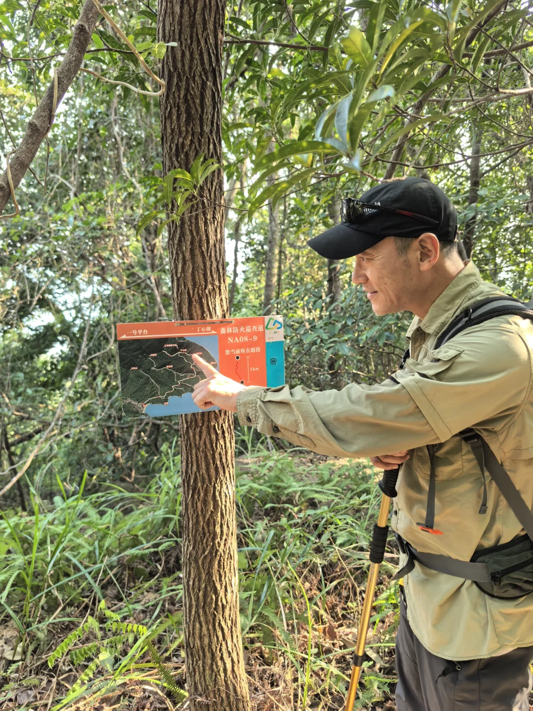 这就是望郎归。