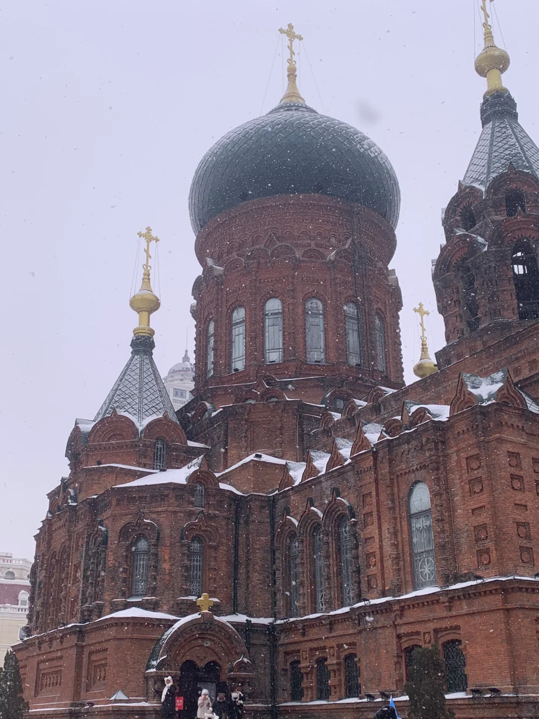 这是我买iPhone的意义🌸春夏秋冬Live~