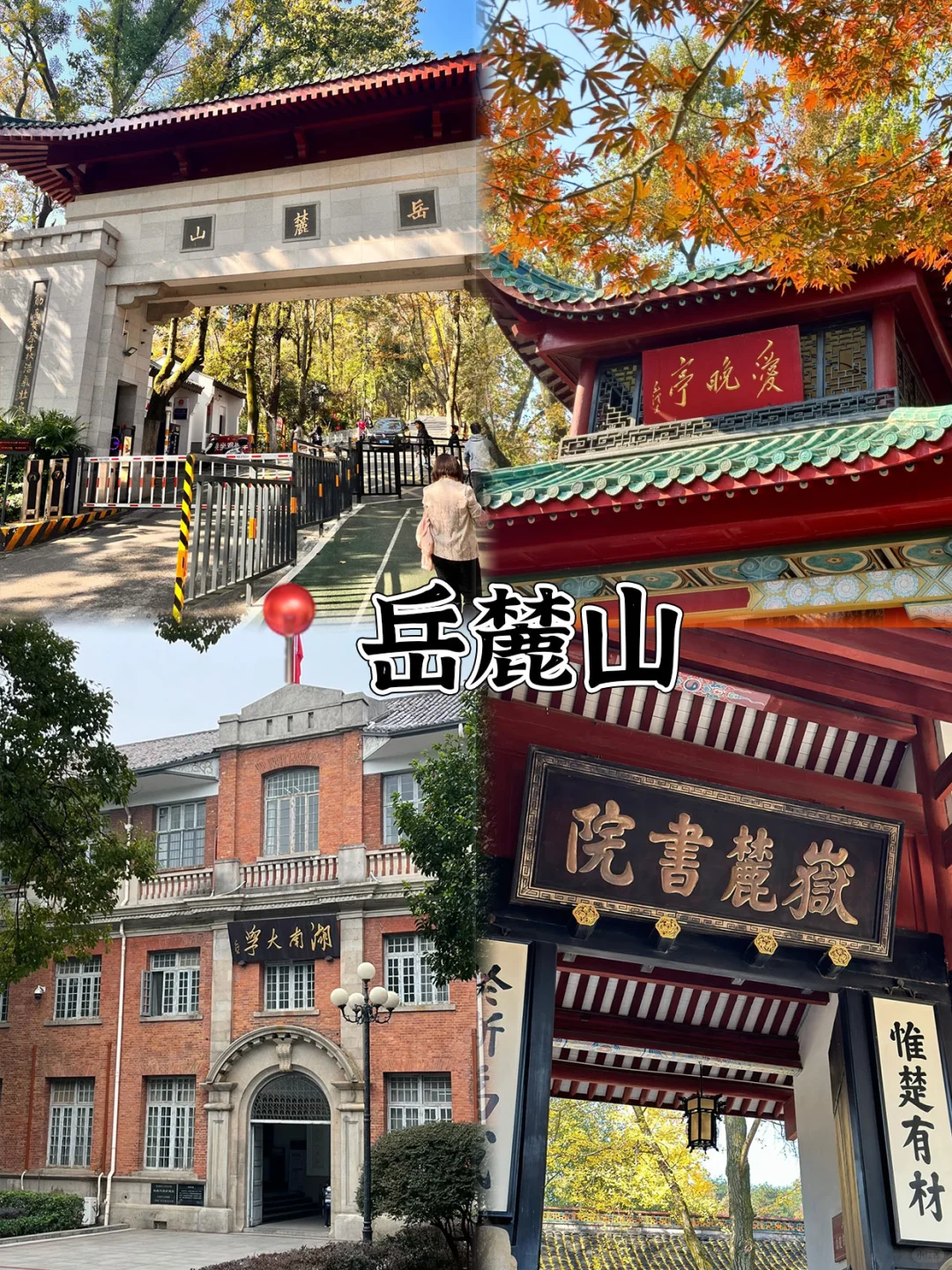 好恐怖的J人啊😱被朋友做的旅游攻略震惊到