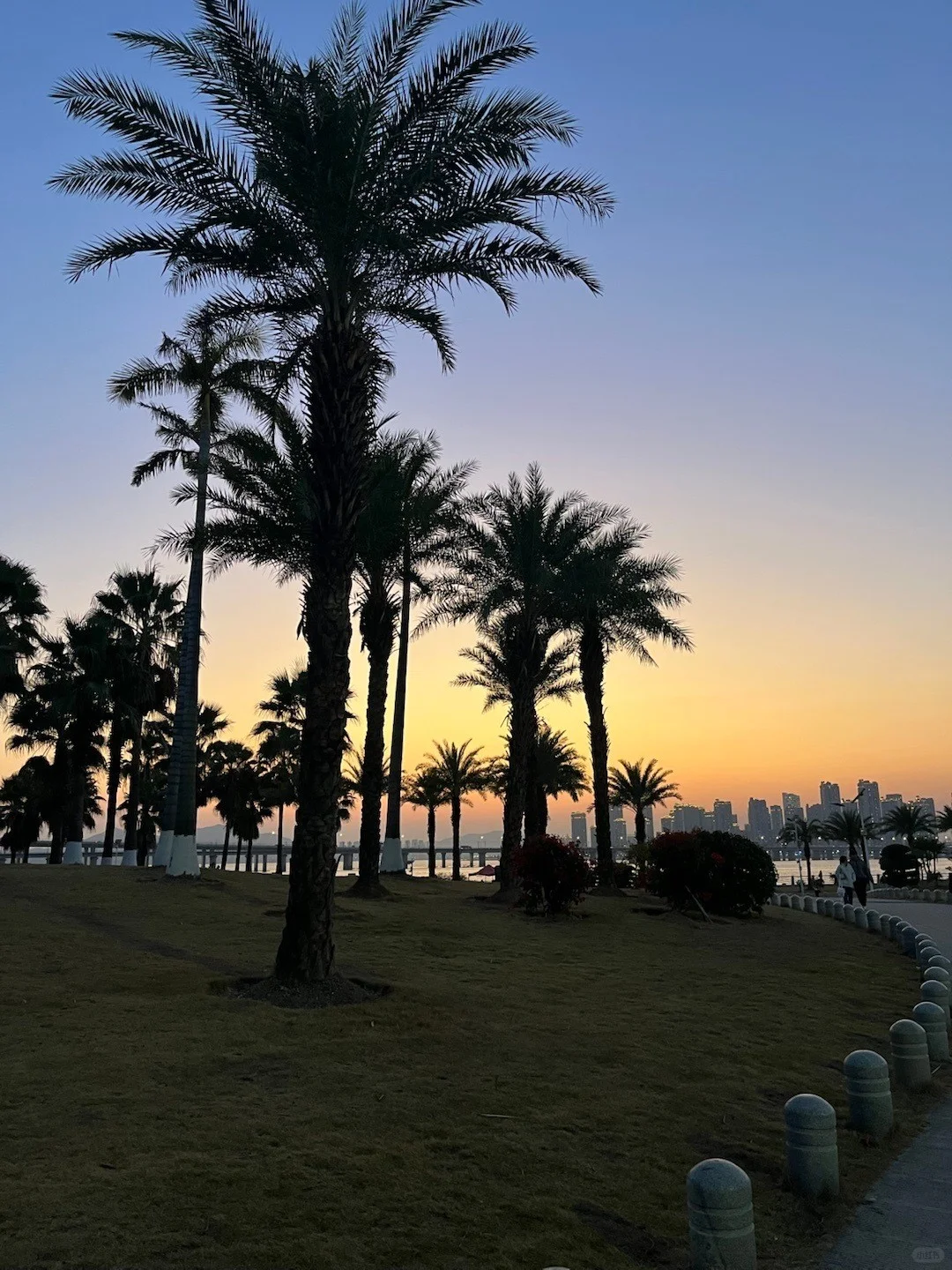 📍厦门三天两夜不走回头路线攻略❗