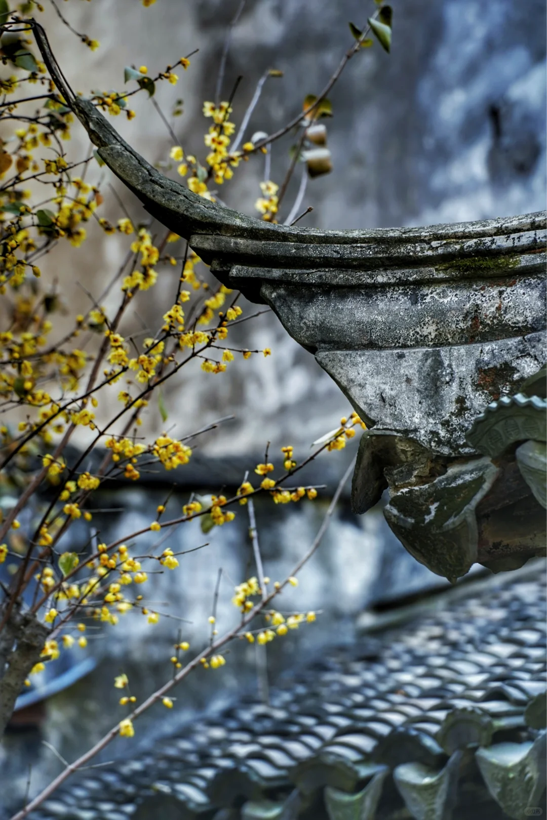 冬季来常熟，本地人推荐这8个小众景点！