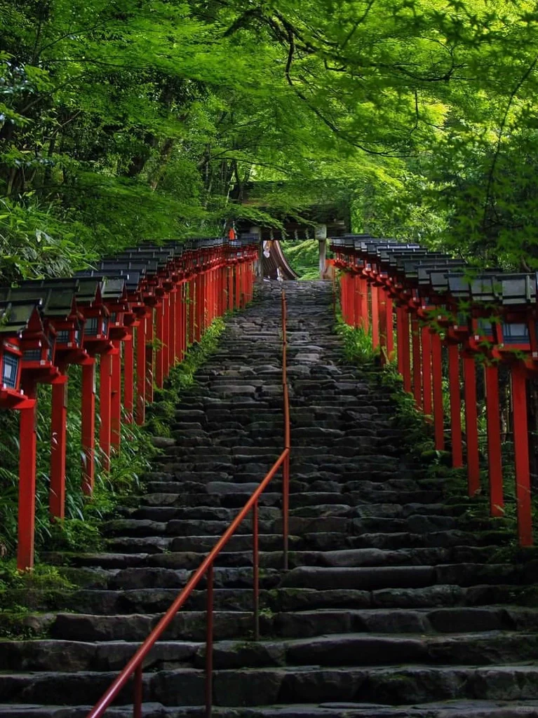 日本｜第三次来京都｜我的7️⃣个小众景点分享